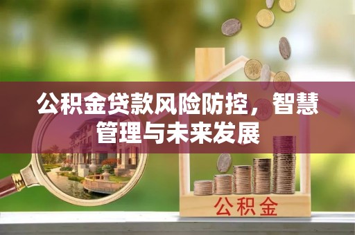 商丘公积金贷款风险防控，智慧管理与未来发展