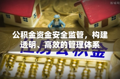 商丘公积金资金安全监管，构建透明、高效的管理体系