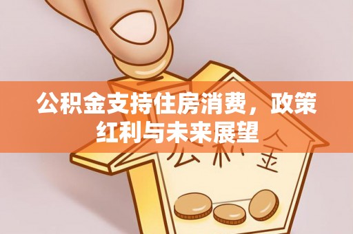 商丘公积金支持住房消费，政策红利与未来展望