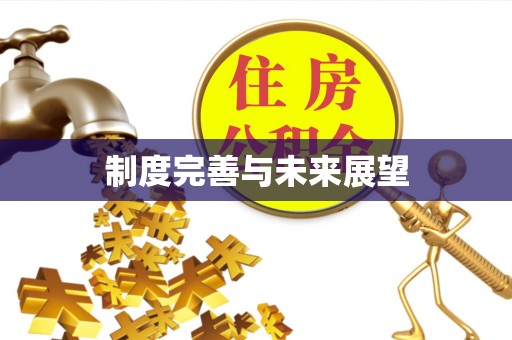 商丘制度完善与未来展望