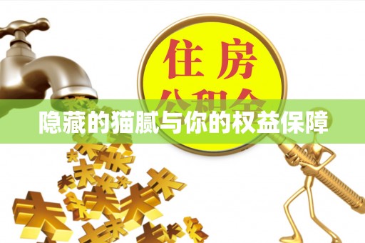 商丘隐藏的猫腻与你的权益保障