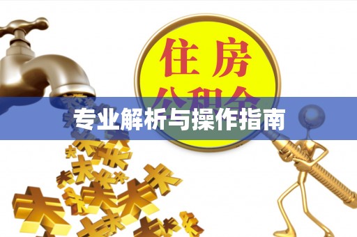 商丘专业解析与操作指南