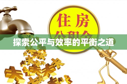 商丘探索公平与效率的平衡之道