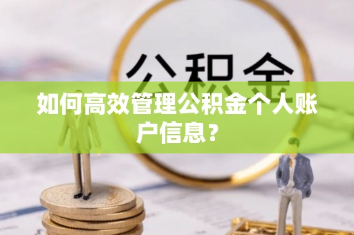 商丘如何高效管理公积金个人账户信息？