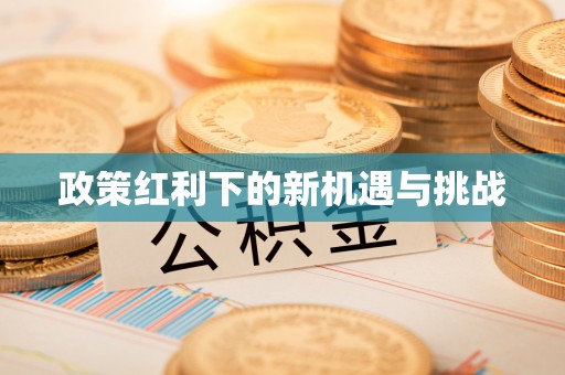 商丘政策红利下的新机遇与挑战