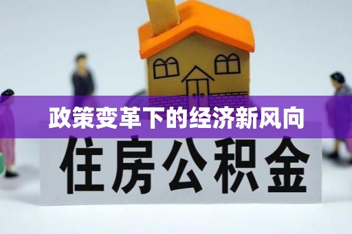 商丘政策变革下的经济新风向