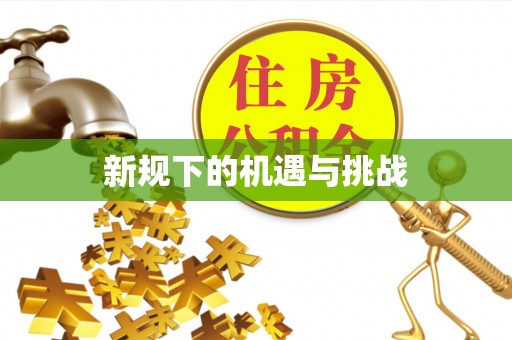 商丘新规下的机遇与挑战