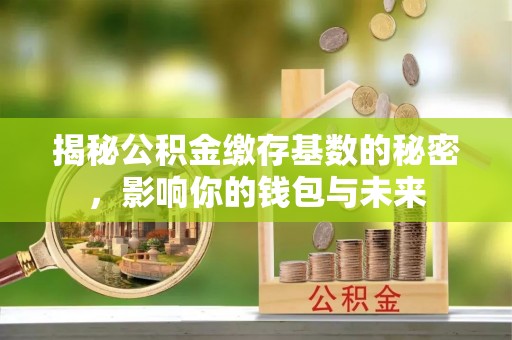 商丘揭秘公积金缴存基数的秘密，影响你的钱包与未来
