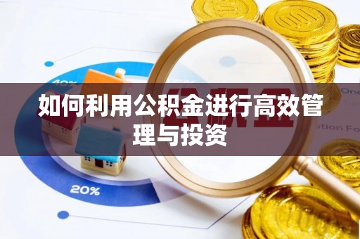 商丘如何利用公积金进行高效管理与投资