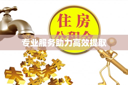 商丘专业服务助力高效提取