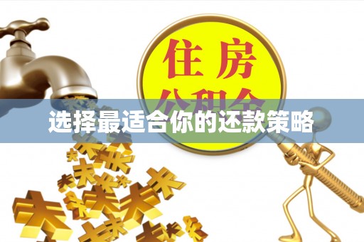 商丘选择最适合你的还款策略
