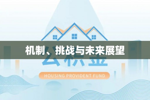 商丘机制、挑战与未来展望